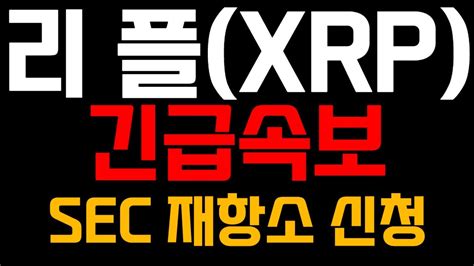 리플코인 전망 Xrp 긴급 속보 Sec 재 항소 신청 Youtube