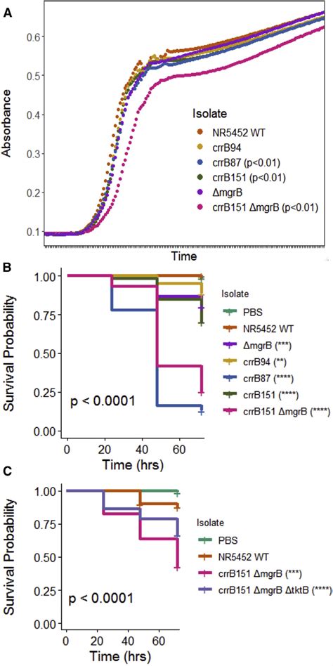 Growth Kinetics Of Isogenic Mutants And Kaplan Curves Of The Isogenic