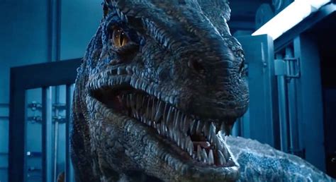 An Interview With Blue, A Velociraptor From ‘Fallen Kingdom’