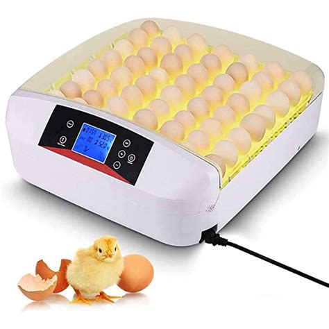 Buy MISS YOU 56 Eggs Incubator Fully Automatic Turning Egg Hatching