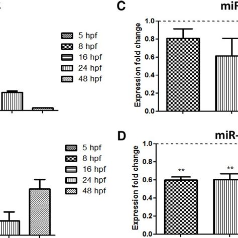 MiR 212 A And MiR 132 B Temporal Expression And MiR 212 Expression