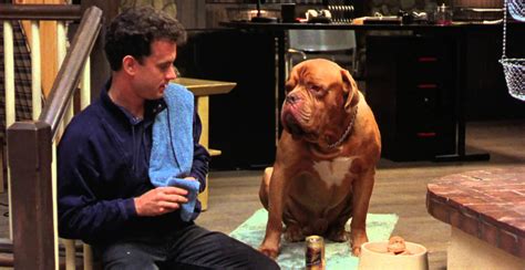 The 'Turner And Hooch' Reboot Your Dog Begged For Is Heading To Disney+ ...