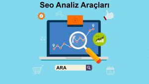 SEO Analizi Nasıl Yapılır Acarnet