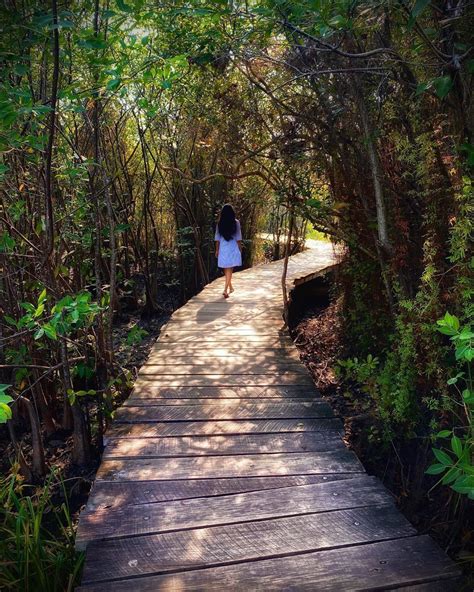 ‪beddagana Wetland Park Colombo‬ ‪srilanka ‬ Amazing Places On