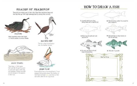 Julia Rothmans Ocean Anatomy Activity Book Match Ups Word Puzzles