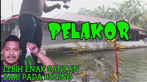 Racikan Umpan Ikan Mas Awalnya Mau Coba Coba Tapi Hasilnya Santan Lebih