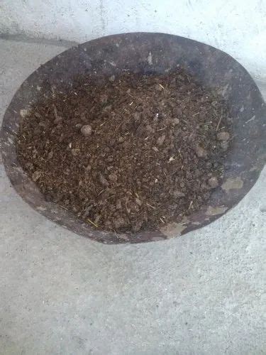 Cow Dung Manure At Rs 100 Piece Organic Fertilizer In Nagpur ID