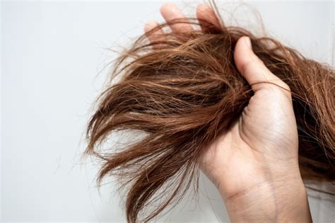 Pointes sèches Les meilleures techniques pour hydrater vos cheveux