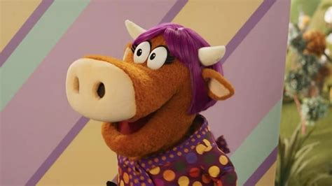 What You Need To Know About Donkey Hodie” Buddytv