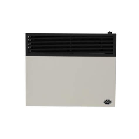 Ashley Hearth Products DVAG30N 25 000 BTU Direct Vent Natural Gas