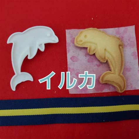 クッキー型 イルカ - ぷりん工房 | minne 国内最大級のハンドメイド・手作り通販サイト