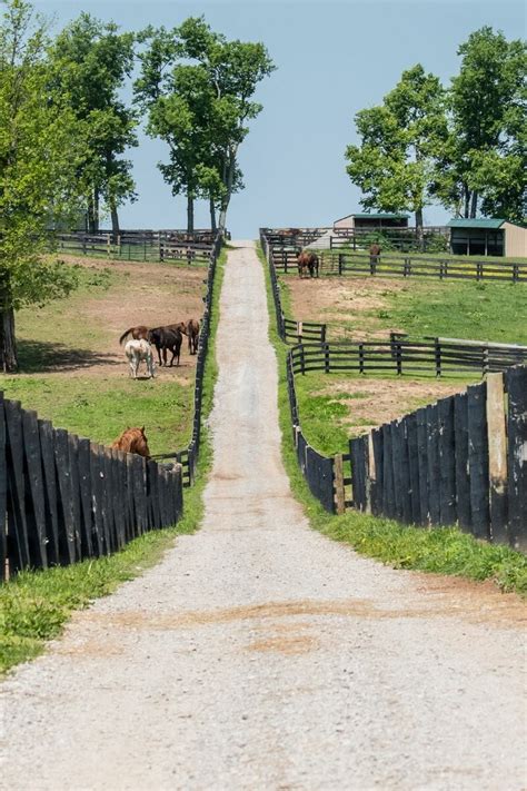 51 Fun Facts about Kentucky (that most people don't know!)