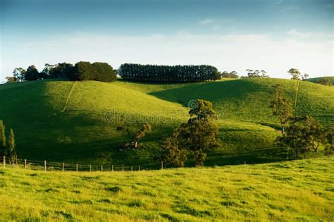 Rural Australia landscape stock photo. Image of farmland - 46232606