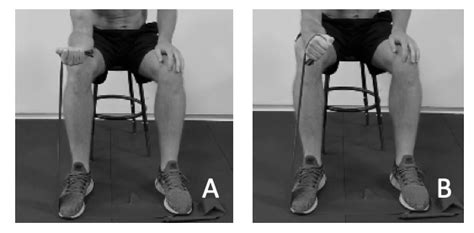 Flexor Pronator Mass Training Exercises Selectively Activate Forearm