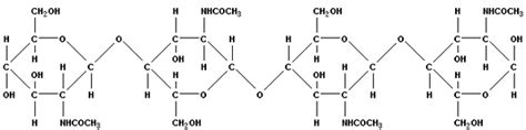 Углеводы - Растения– строение цветка, листа, виды растений – съедобные ...