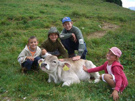 Giornata Alla Scoperta Delle Malghe Dell Altopiano Con Guida