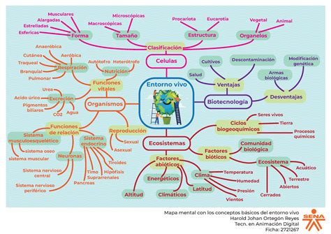 Harold Ortegon Ga Aa Ev Mapa Mental Con Los Conceptos