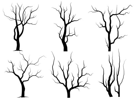 Black Branch Tree Or Naked Trees Silhouettes Set Hand Drawn Isolated Illustrations 18976597