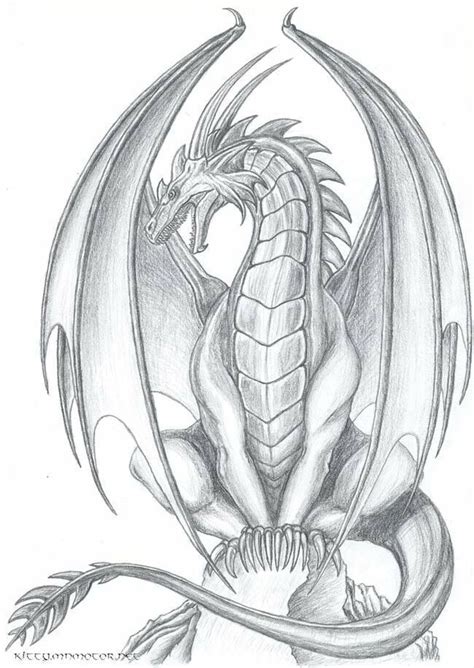 Latest Absolutely Free Dragon Drawing Sketches Style Exactly What Is