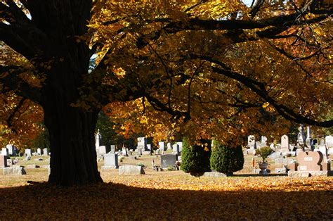 Cemetery In Autumn Photograph By Joyce Rose Fine Art America