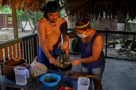 Indígenas da Amazônia brasileira usam ervas medicinais contra o