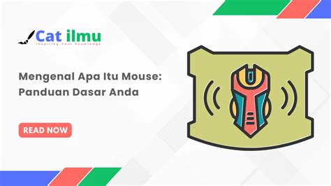 Mengenal Apa Itu Mouse Panduan Dasar Anda Catilmu