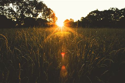 Wallpaper Sinar Matahari Pemandangan Matahari Terbenam Refleksi