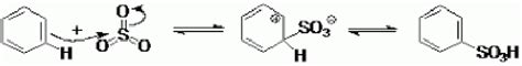 Mecanismo De Reacci N Del Cido Bencenosulf Nico Tomado De
