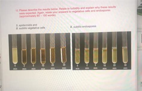 Solved Omp Please Describe The Results Below Chegg