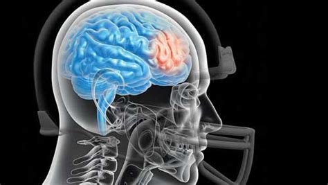 Football Helmet Safety News: Read Between the lines | TSP