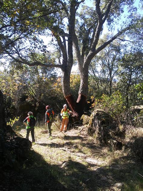 Senderismo Domingueros Viti Miranda Del Casta Ar Parte De La Ruta De