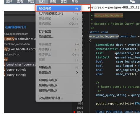 Vscode Gdb Gdbserver 远程调试pg源码vscode Gdbserver Csdn博客