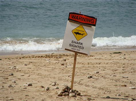 South Maui beaches remain closed due to new shark sightings | Honolulu ...