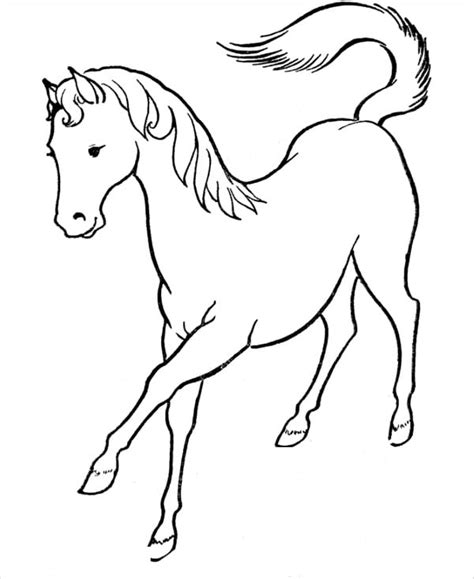 14+ Horse Coloring pages - Free PDF Document Download