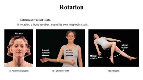 Types of movements at synovial joints