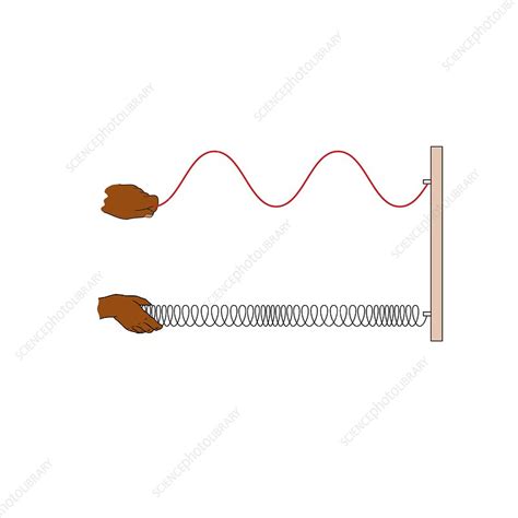 Transverse Wave Animation