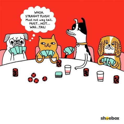 Dogs Are The Worst At Poker - I Can Has Cheezburger?