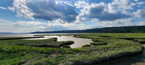 Early High Tide From The Hood Canal On The Saltmarsh Pier Flickr