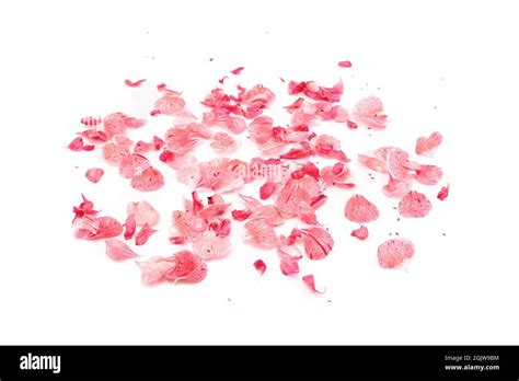 Pink Rose Petals Falling Hi Res Stock Photography And Images Alamy