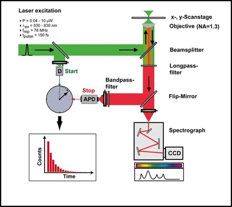 Nanooptics Group - Faculty for Chemistry and Pharmacy - Time-resolved ...