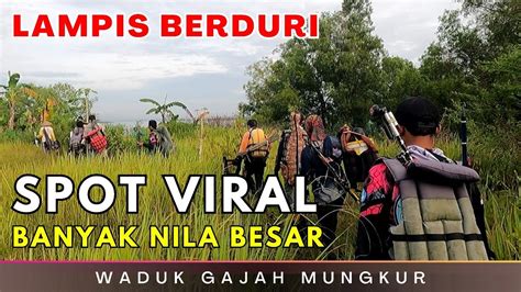 SROMPOT BERDURI SPOT NYOBOK VIRAL WADUK GAJAH MUNGKUR MANCING WGM