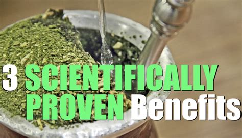 3 SCIENTIFICALLY PROVEN Yerba Mate Benefits (Sources Cited) - Yerba ...