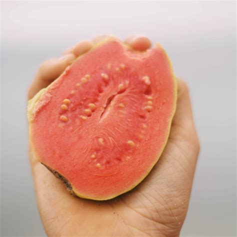 Pink Guava – Miami Fruit