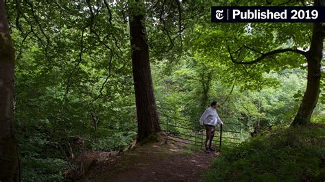 ‘Dog Suicide Bridge’: Why Do So Many Pets Keep Leaping Into a Scottish