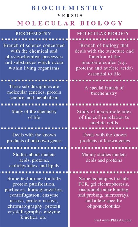 What Is The Difference Between Biochemistry And Molecular Biology