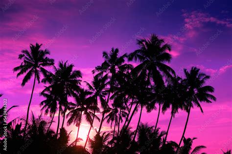 Vivid purple sunset on tropical beach with coconut palm trees silhouettes Stock Photo | Adobe Stock