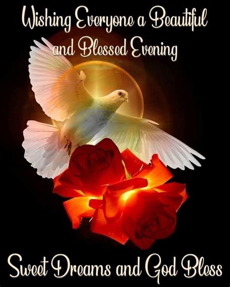 Roses Dove Wishing Everyone A Beautiful And Blessed Evening Quotes