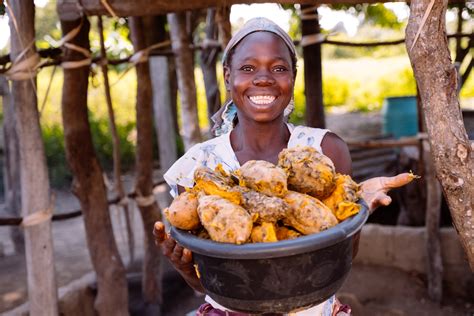 Building Diverse And Healthier Diets For Africas Growing Population