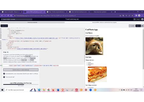41 EJERCICIOS HTML | PDF 