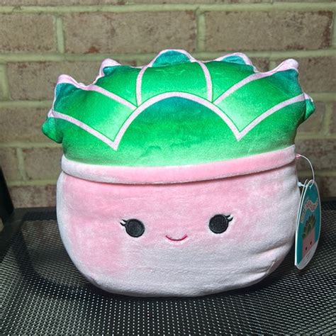 Squishmallows Toys New Afiyah Succulent Squishmallow 8 Poshmark